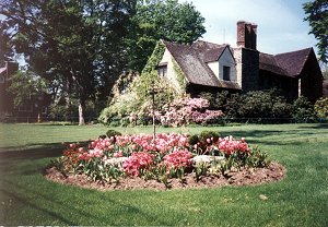 perennial garden
