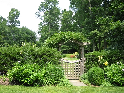 perennial garden
